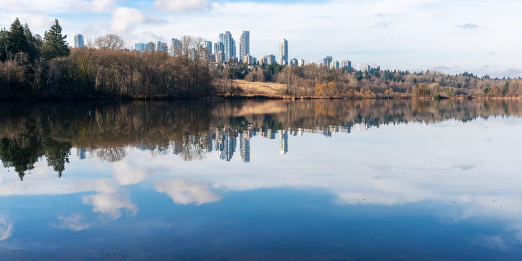 Calm lake surrounded by forest and parkland