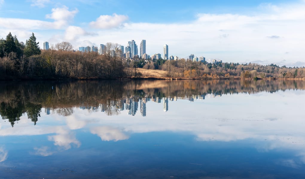 Calm lake surrounded by forest and parkland