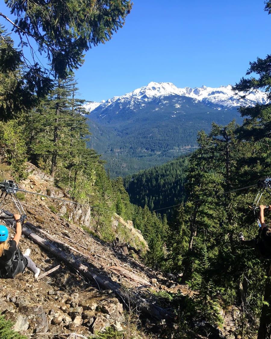 Forest adventure trail