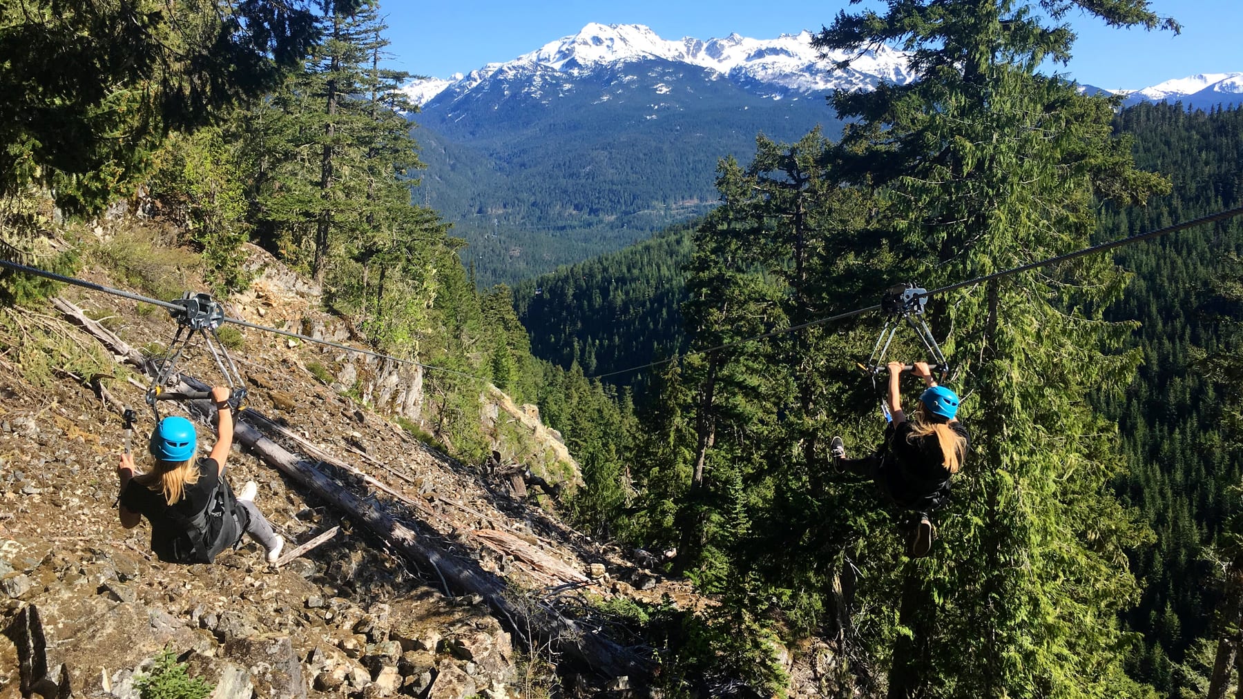 Forest adventure trail