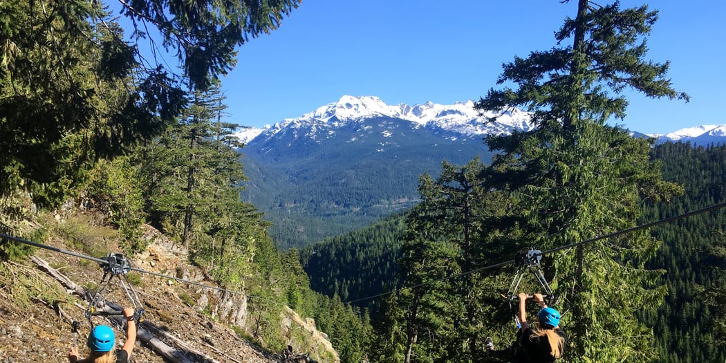 Forest adventure trail