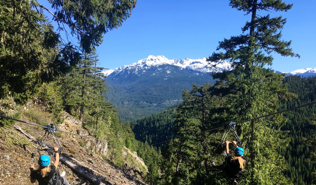 Forest adventure trail