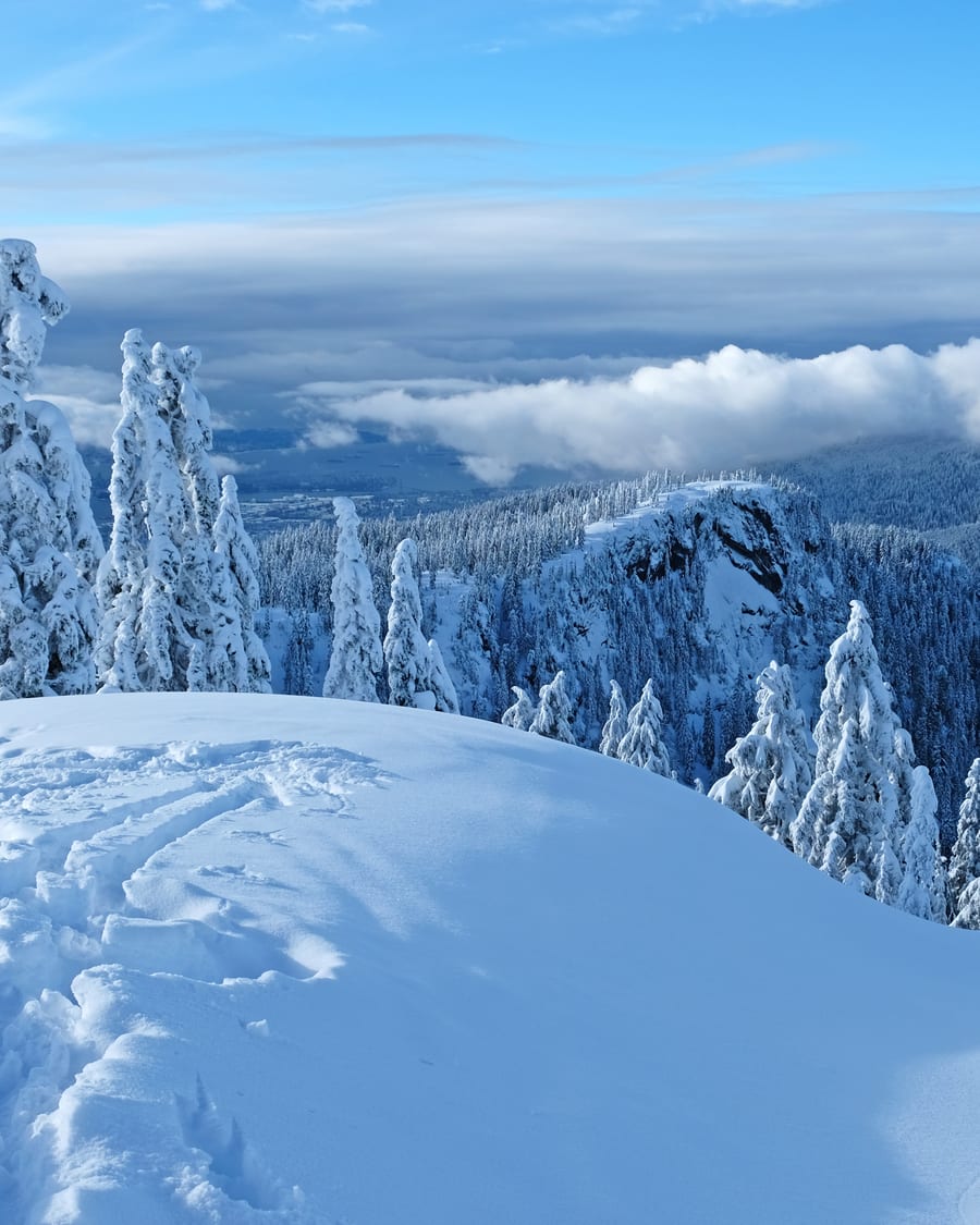 Snowy mountain above a fjord