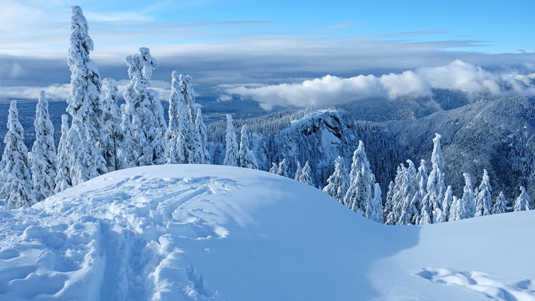 Snowy mountain above a fjord