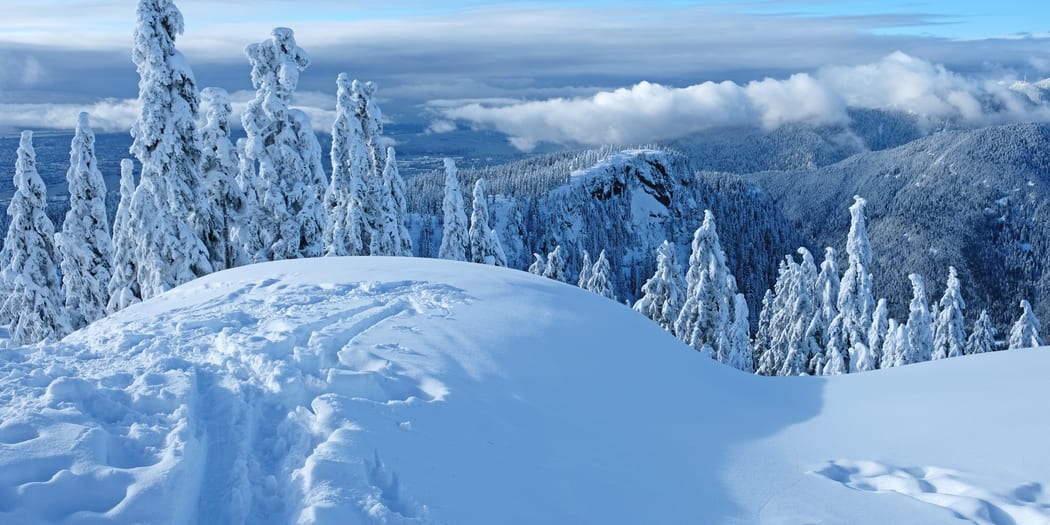 Snowy mountain above a fjord