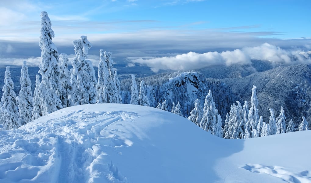 Snowy mountain above a fjord
