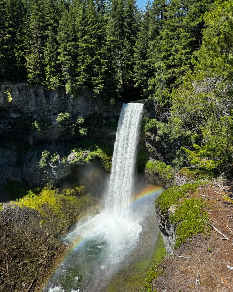Waterfall in a forested canyon