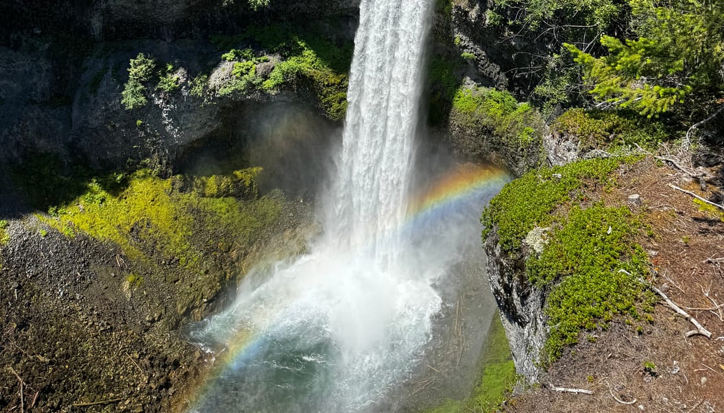 Waterfall in a forested canyon