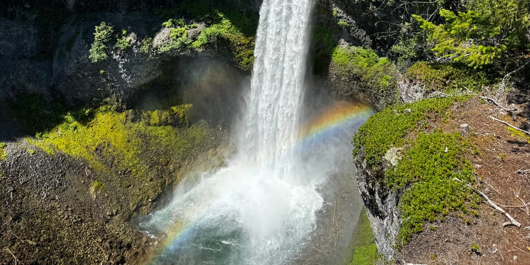 Waterfall in a forested canyon