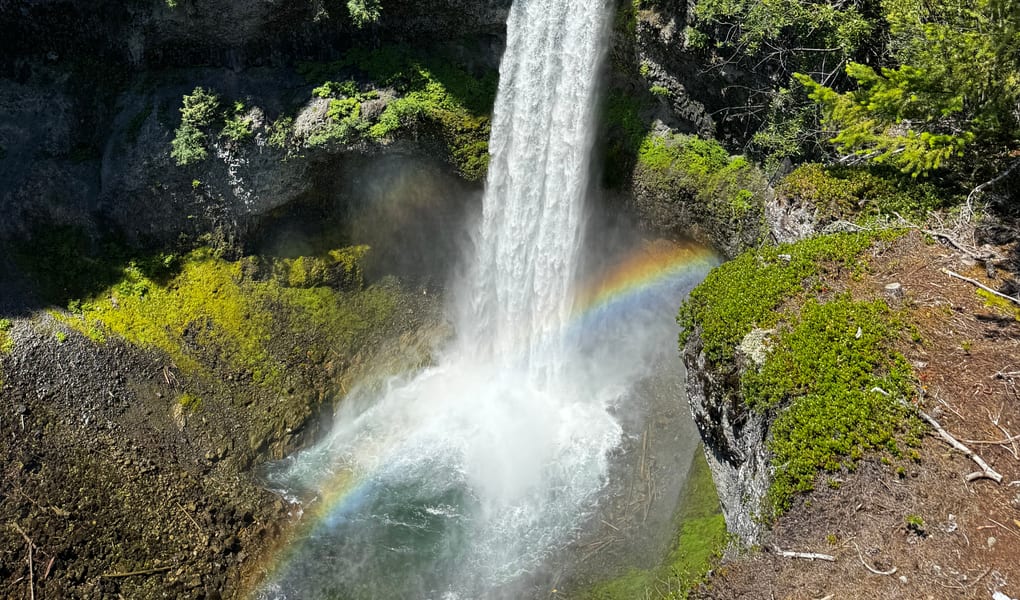 Waterfall in a forested canyon