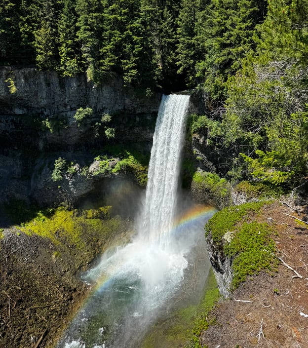 Waterfall in a forested canyon