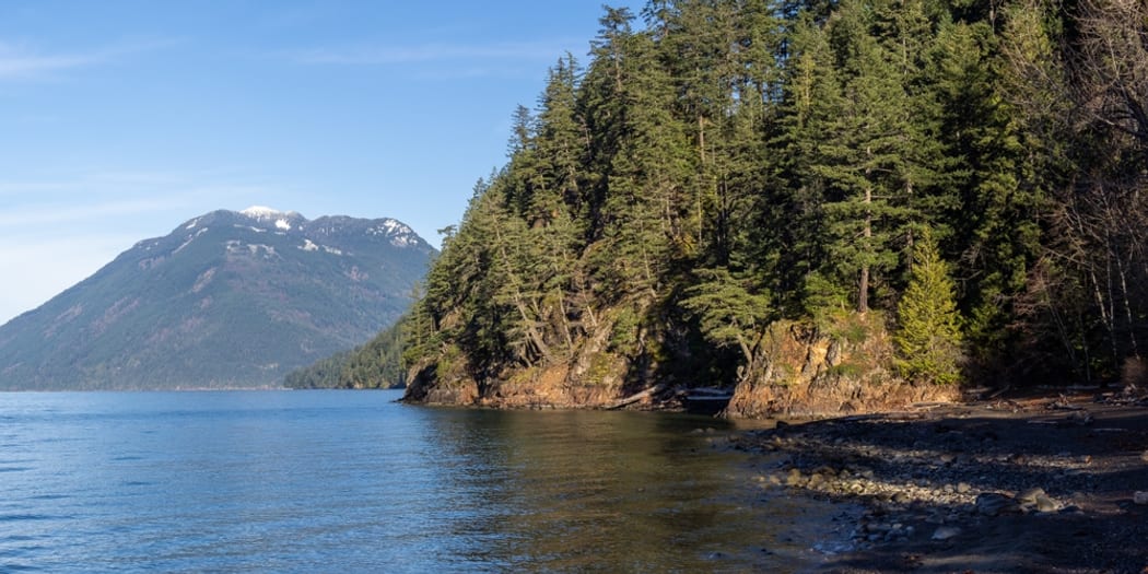 Mountain lake shoreline
