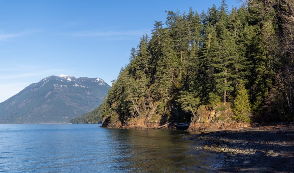 Mountain lake shoreline