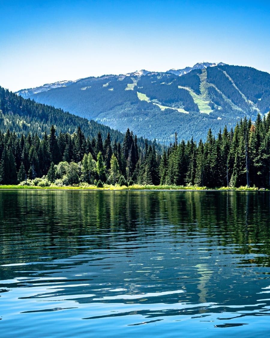 Forest lake with mountain backdrop