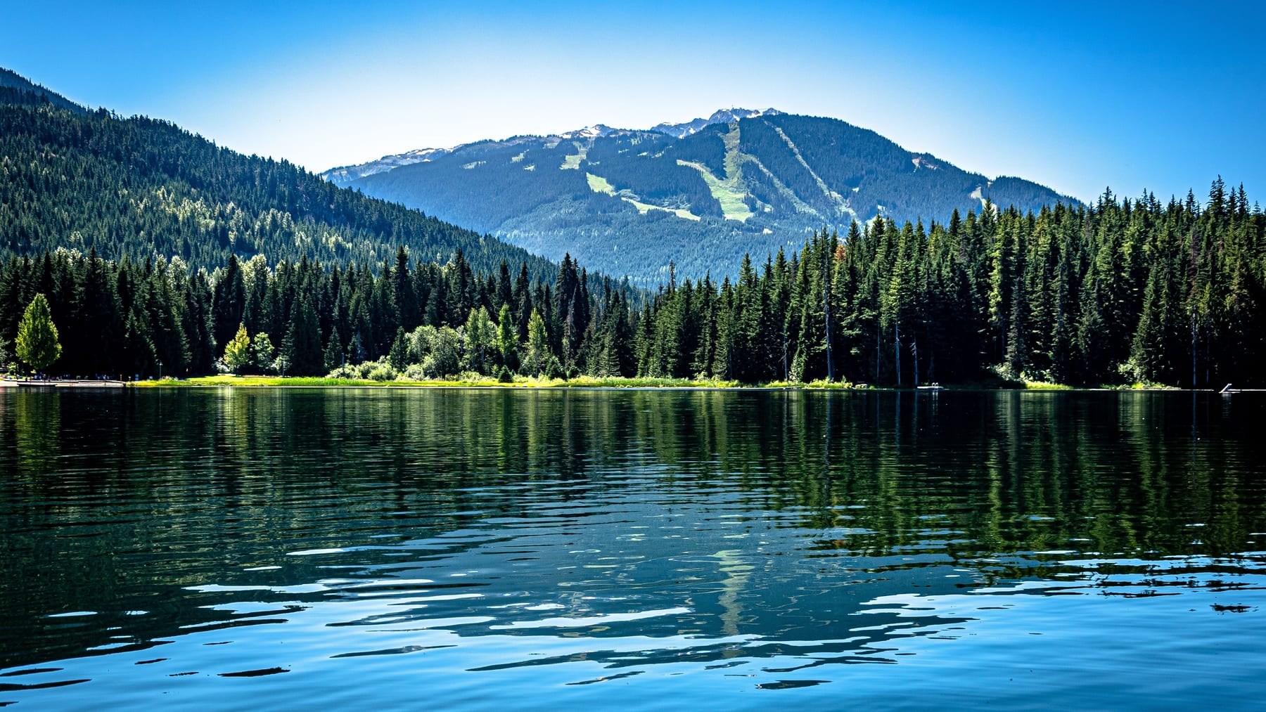 Forest lake with mountain backdrop