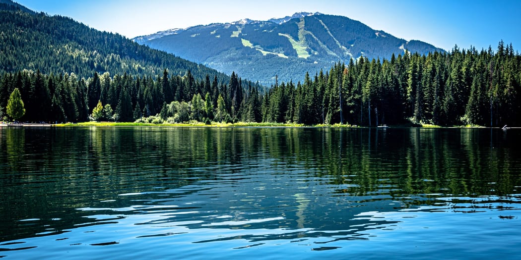 Forest lake with mountain backdrop
