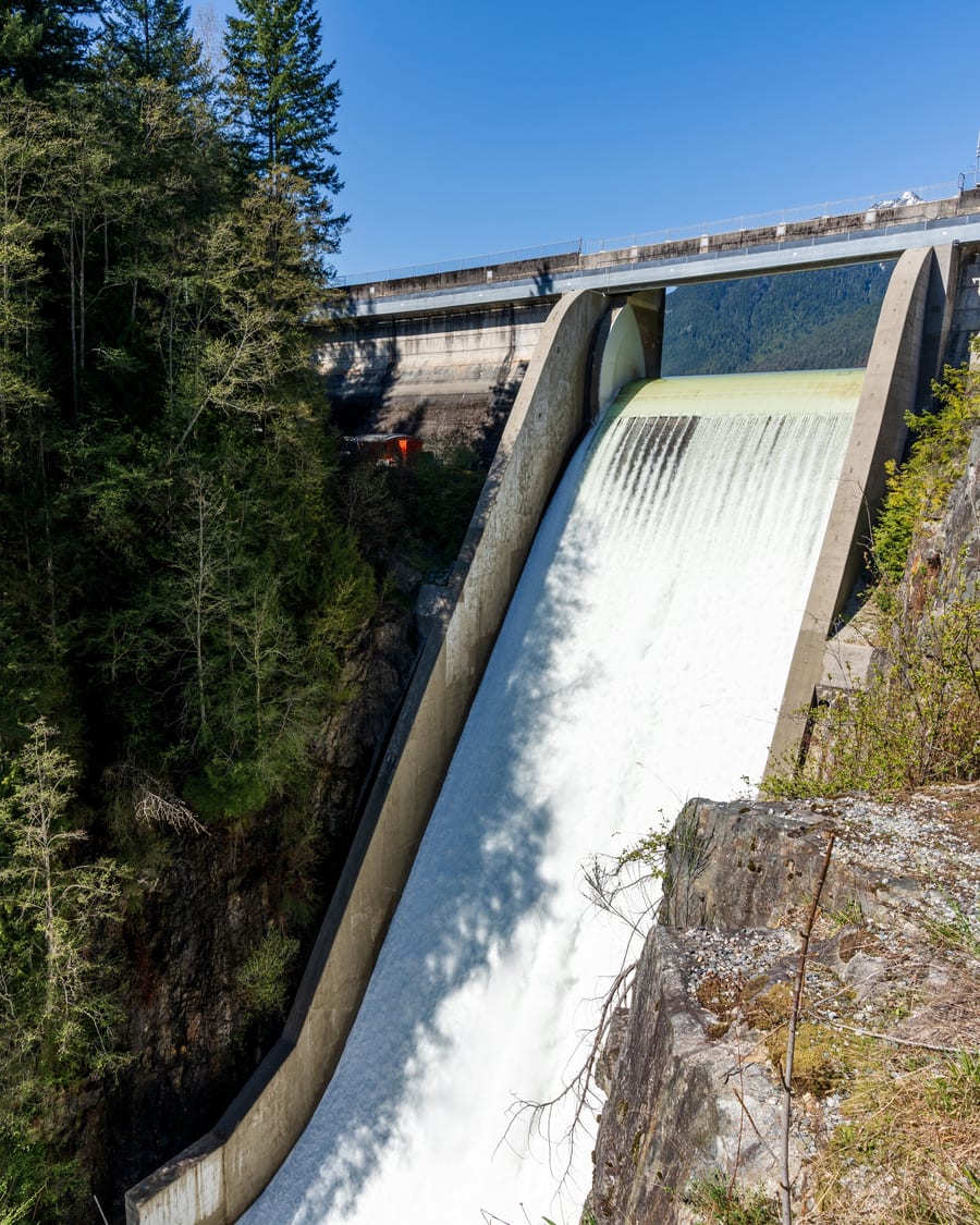 Forest reservoir and mountain water