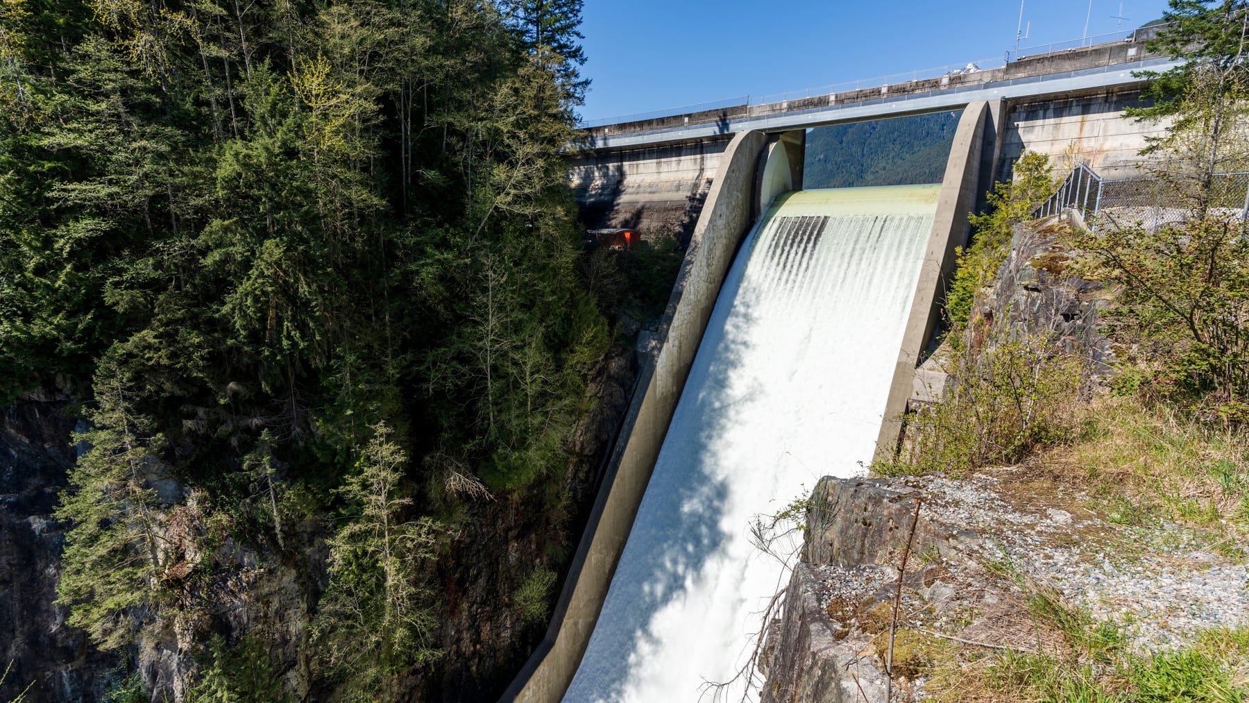 Forest reservoir and mountain water