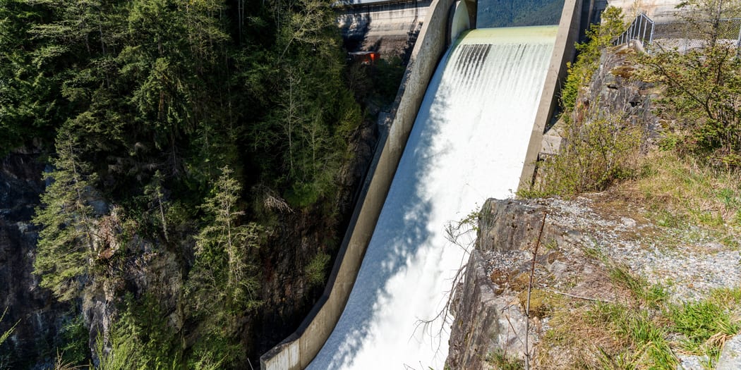 Forest reservoir and mountain water