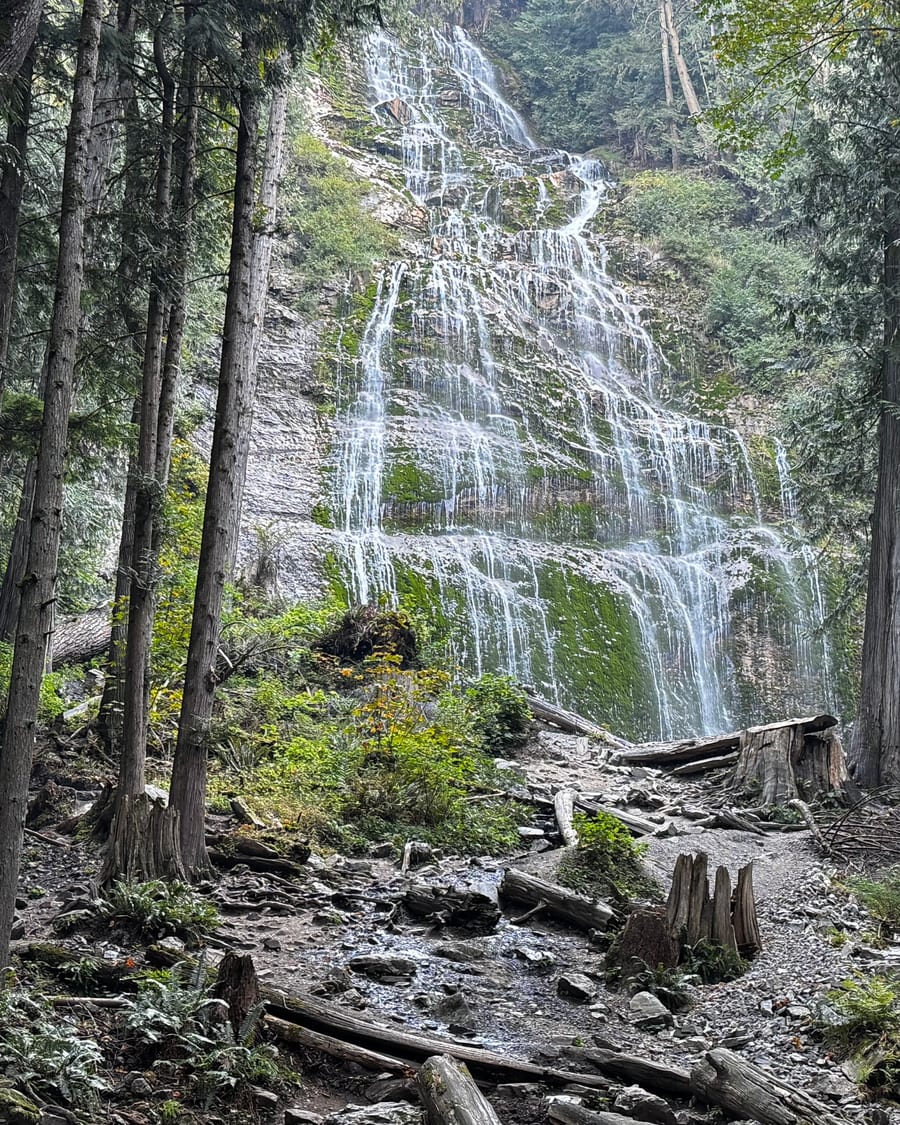 Waterfall dropping through forest