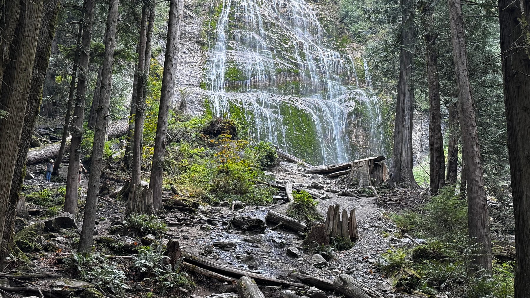 Waterfall dropping through forest