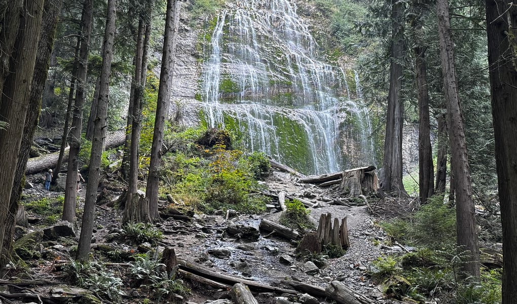 Waterfall dropping through forest