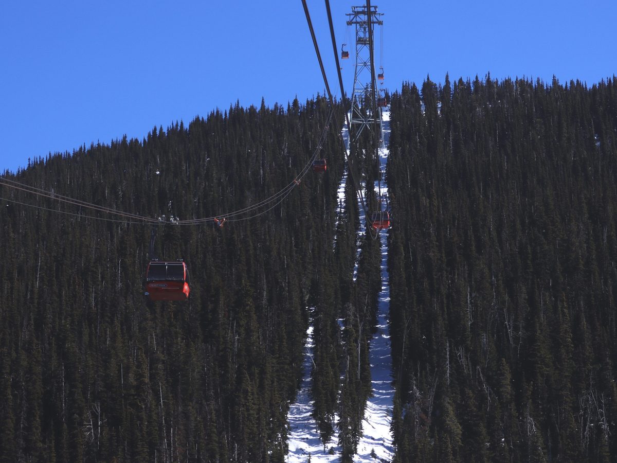 A Peak 2 Peak gondola over alpine forest between Whistler and Blackcomb