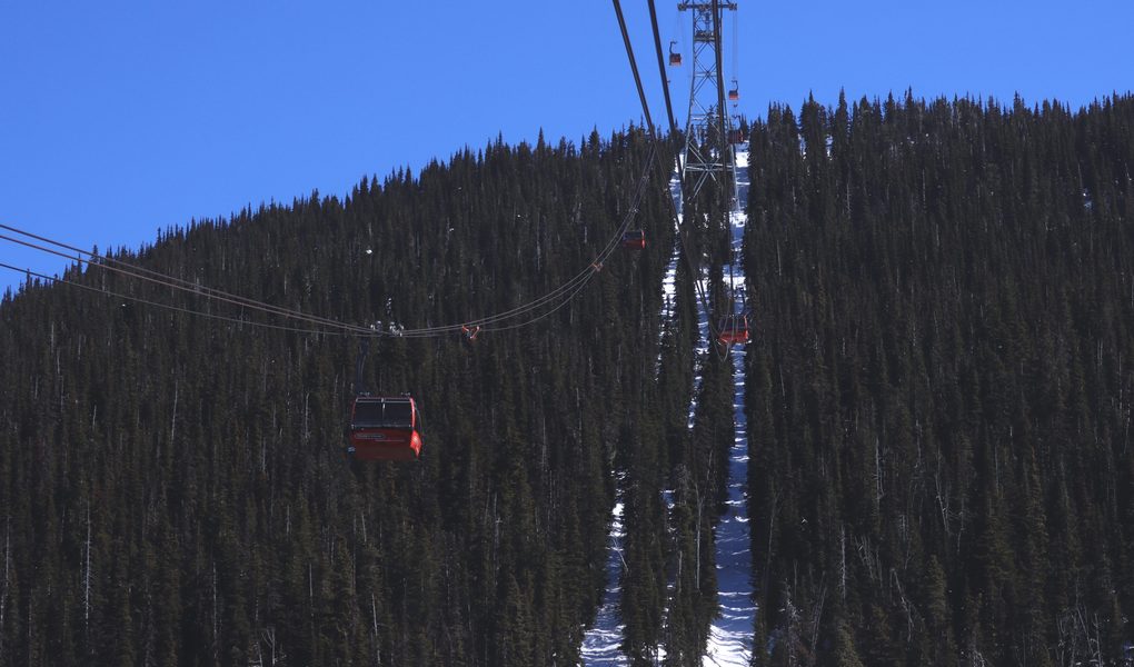 A Peak 2 Peak gondola over alpine forest between Whistler and Blackcomb