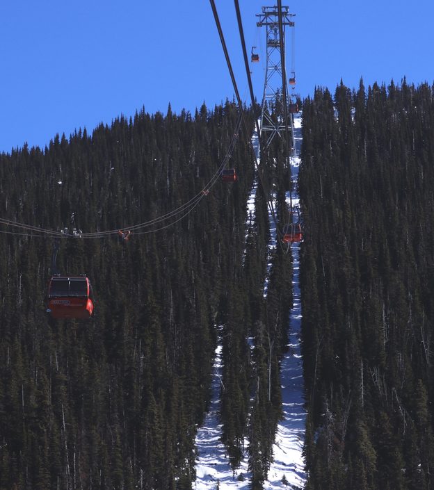 A Peak 2 Peak gondola over alpine forest between Whistler and Blackcomb