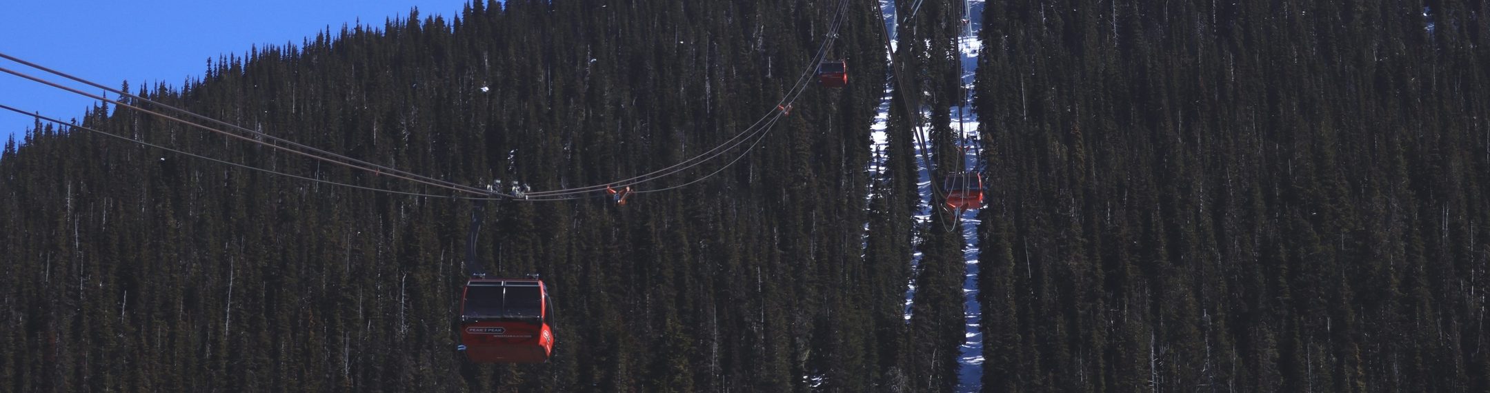 A Peak 2 Peak gondola over alpine forest between Whistler and Blackcomb