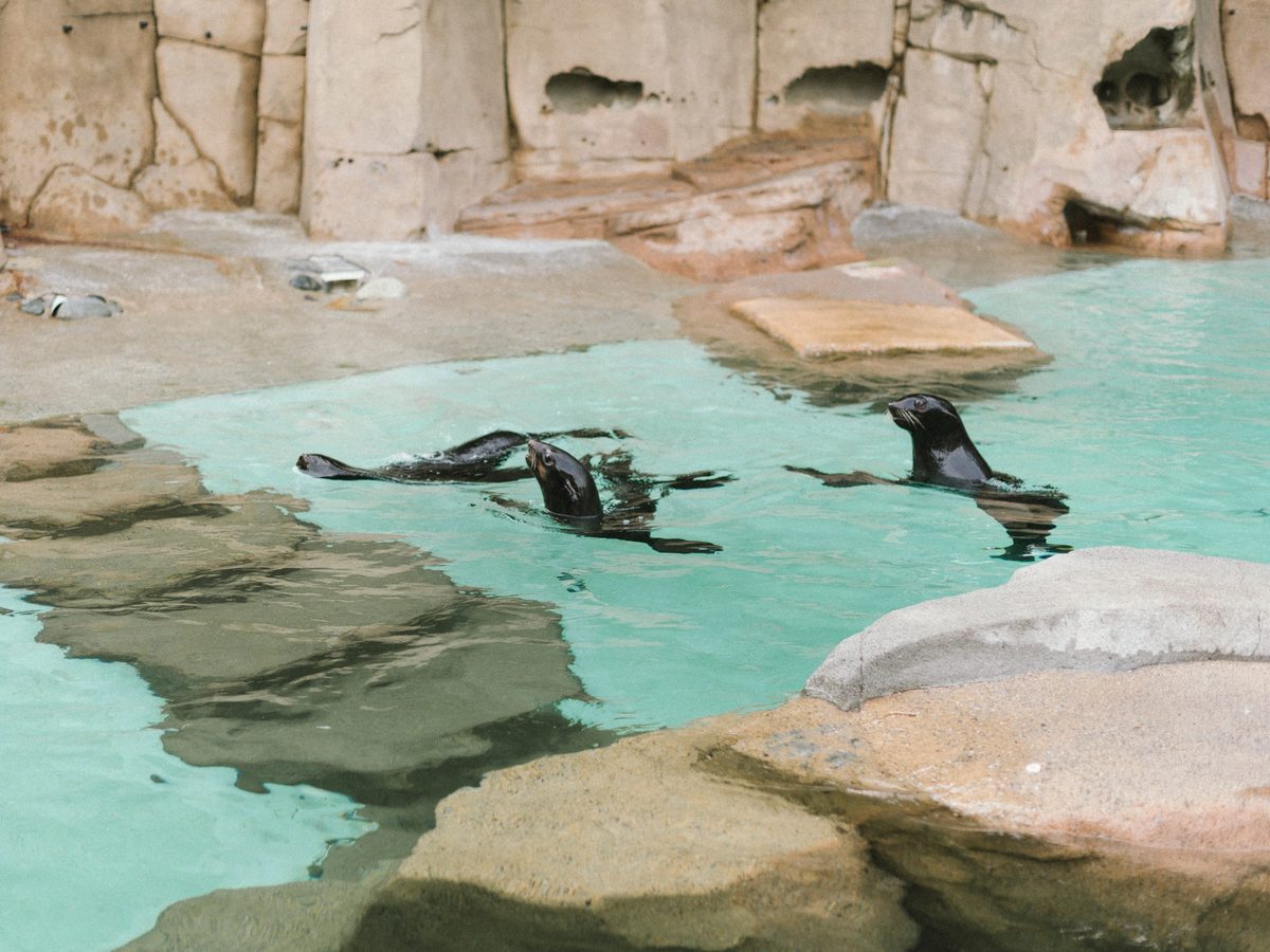 Vancouver Aquarium