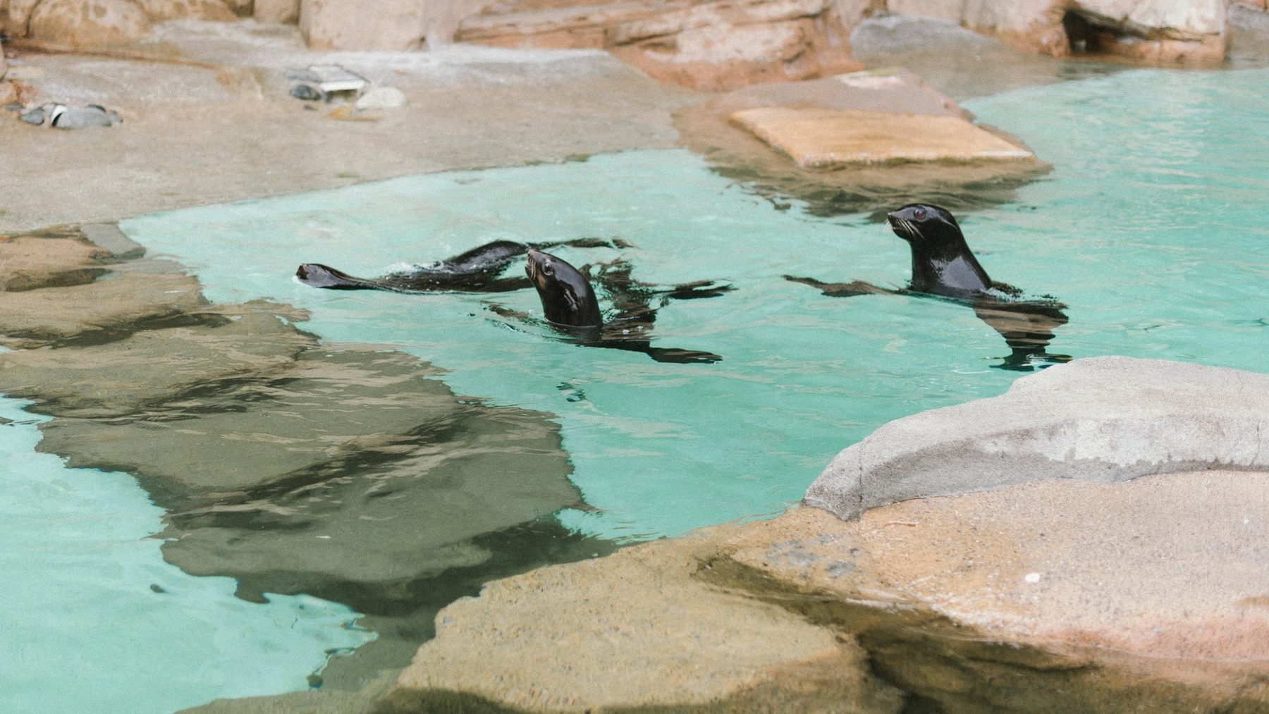 Vancouver Aquarium