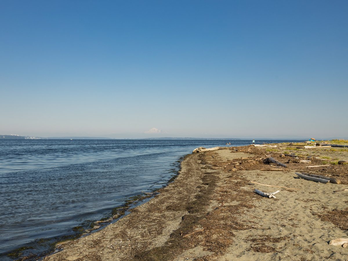 Wide tidal beach on the Pacific