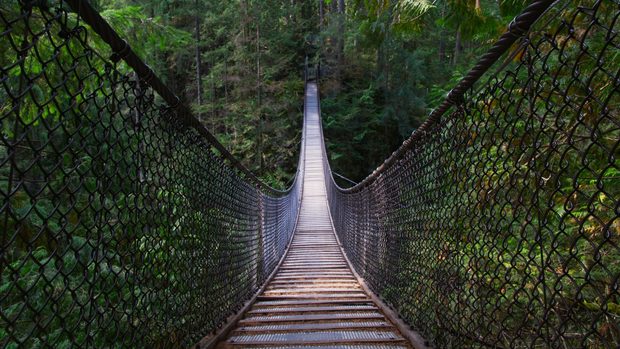 Capilano Suspension Bridge spanning a rainforest canyon